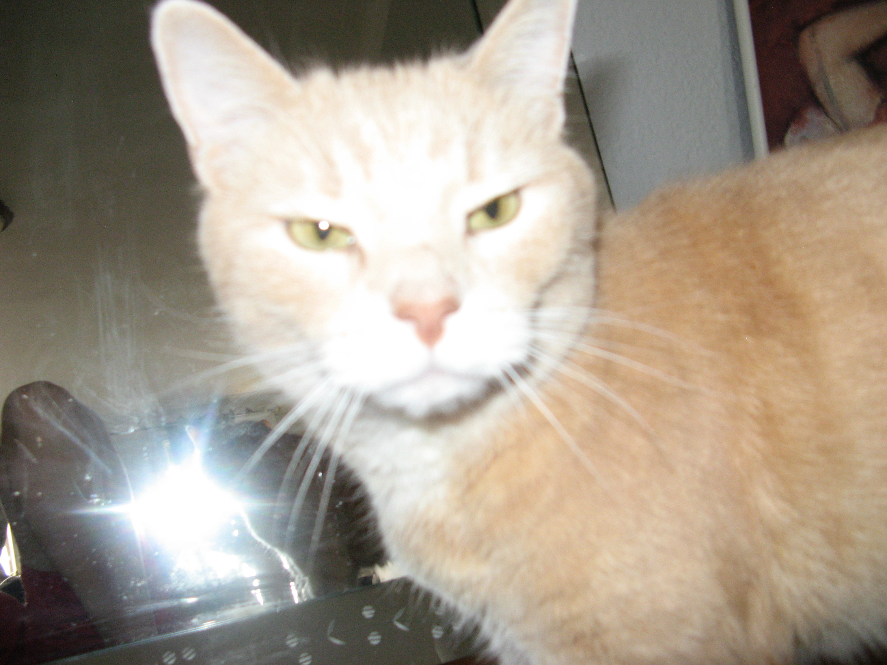 Image 2 from  basement graffiti <br> honey mogging